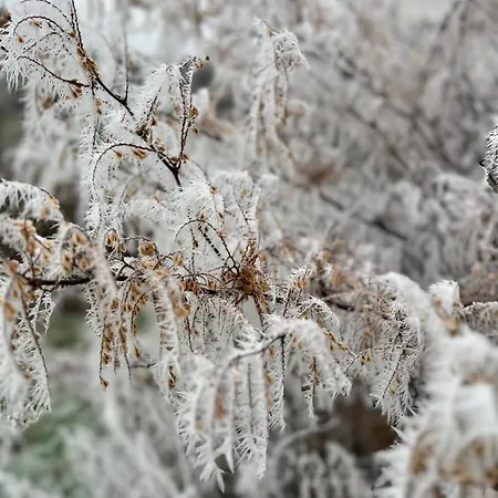 Ebenerdige Im Luftkurort شقة Dodenau