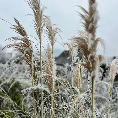 شقة Ebenerdige Im Luftkurort Dodenau