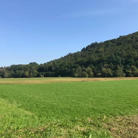 Ebenerdige Im Luftkurort Apartment Dodenau