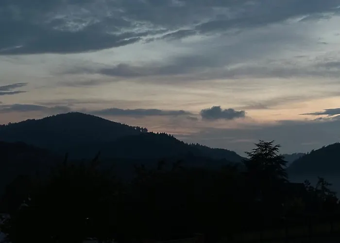 Ebenerdige Im Luftkurort شقة