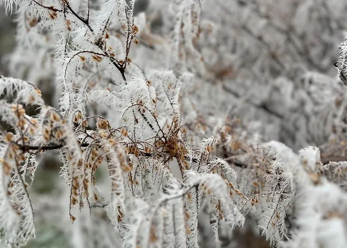 Ebenerdige Im Luftkurort شقة Dodenau