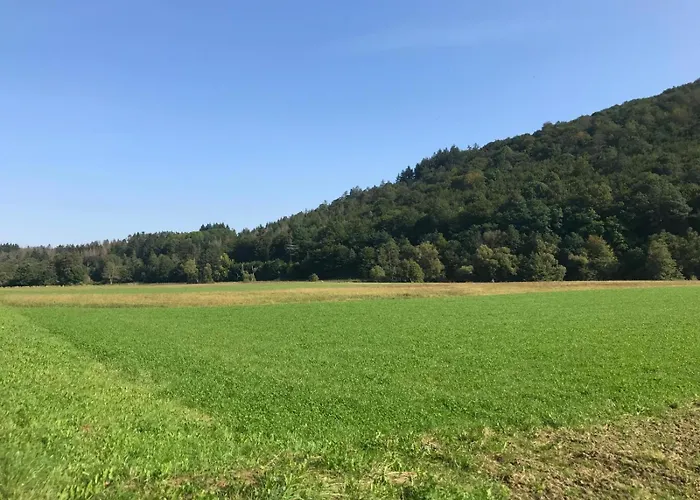 Ebenerdige Im Luftkurort شقة Dodenau